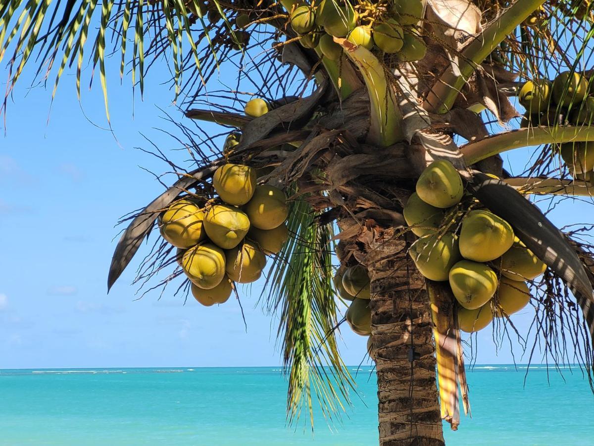Sun Paradise - Ipioca Maceió Εξωτερικό φωτογραφία